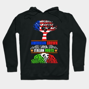 American Grown Italian Roots Hoodie